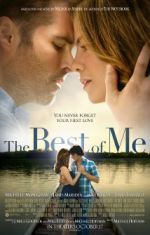 Watch The Best of Me Megashare