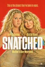 Watch Snatched Megashare