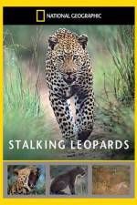Watch National Geographic: Stalking Leopards Megashare