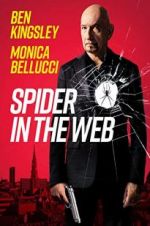 Watch Spider in the Web Megashare