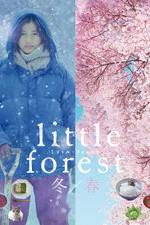 Watch Little Forest: Winter/Spring Megashare