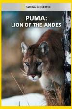 Watch National Geographic Puma: Lion of the Andes Megashare