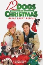 Watch 12 Dogs of Christmas Great Puppy Rescue Megashare