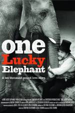 Watch En lycklig elefant Megashare