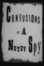 Watch Confusions of a Nutzy Spy Megashare