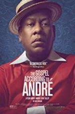 Watch The Gospel According to Andr Megashare
