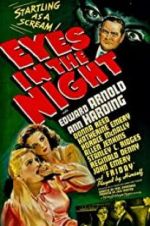 Watch Eyes in the Night Megashare