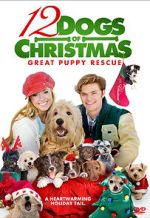 Watch 12 Dogs of Christmas: Great Puppy Rescue Megashare