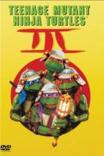 Watch Teenage Mutant Ninja Turtles III Megashare