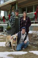 Watch Hallmark Hall of Fame A Dog Named Christmas Megashare