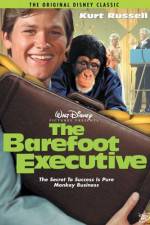 Watch The Barefoot Executive Megashare