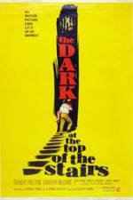 Watch The Dark at the Top of the Stairs Megashare