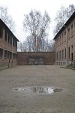 Watch Made in Auschwitz: The Untold Story of Block 10 Megashare