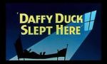 Watch Daffy Duck Slept Here (Short 1948) Megashare