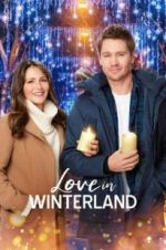 Watch Love in Winterland Megashare