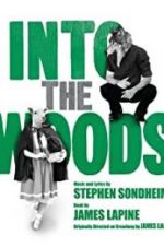 Watch Into the Woods Megashare