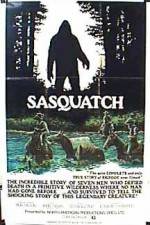 Watch Sasquatch the Legend of Bigfoot Megashare