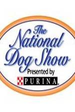 Watch National Dog Show Megashare
