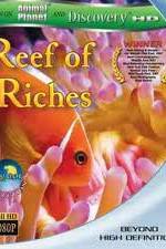 Watch Equator Reefs of Riches Megashare