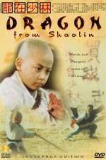 Watch Long zai Shaolin Megashare