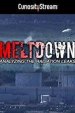 Watch Meltdown: Analyzing the Radiation Leaks Megashare