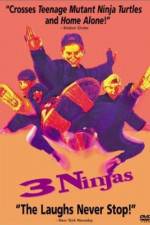 Watch 3 Ninjas Megashare