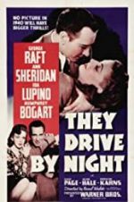 Watch They Drive by Night Megashare