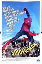 Watch "The Amazing Spider-Man" Pilot Megashare