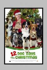 Watch 12 Dog Days of Christmas Megashare