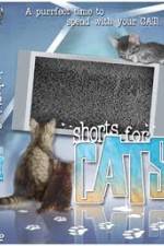 Watch Shorts for Cats Online Megashare