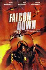 Watch Falcon Down Megashare