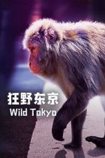 Watch Wild Tokyo (TV Special 2020) Vidbull