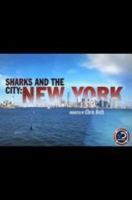 Watch Sharks and the City: New York Megashare