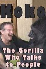 Watch Koko: The Gorilla Who Talks to People Megashare