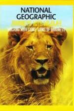 Watch National Geographic:  Walking with Lions Megashare