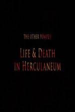 Watch The Other Pompeii Life & Death in Herculaneum Megashare