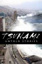 Watch Tsunami: Untold Stories Megashare