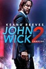 Watch John Wick Chapter 2: Wick-vizzed Megashare