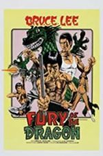 Watch Fury of the Dragon Megashare