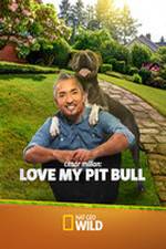 Watch Cesar Millan: Love My Pit Bull Megashare