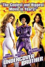 Watch Undercover Brother Megashare