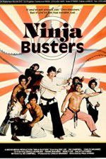 Watch Ninja Busters Megashare