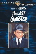 Watch The Last Gangster Megashare