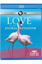 Watch Nature: Love in the Animal Kingdom Megashare