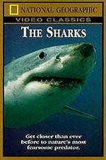 Watch National Geographic The Sharks Megashare