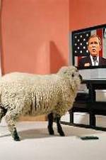Watch Educating The Sheeple Megashare