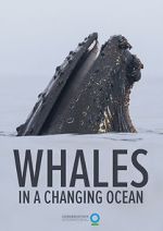 Watch Whales in a Changing Ocean (Short 2021) Megashare