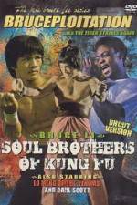 Watch Soul Brothers of Kung Fu Megashare