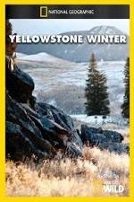 Watch National Geographic Yellowstone Winter Megashare