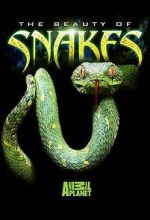 Watch Beauty of Snakes Megashare